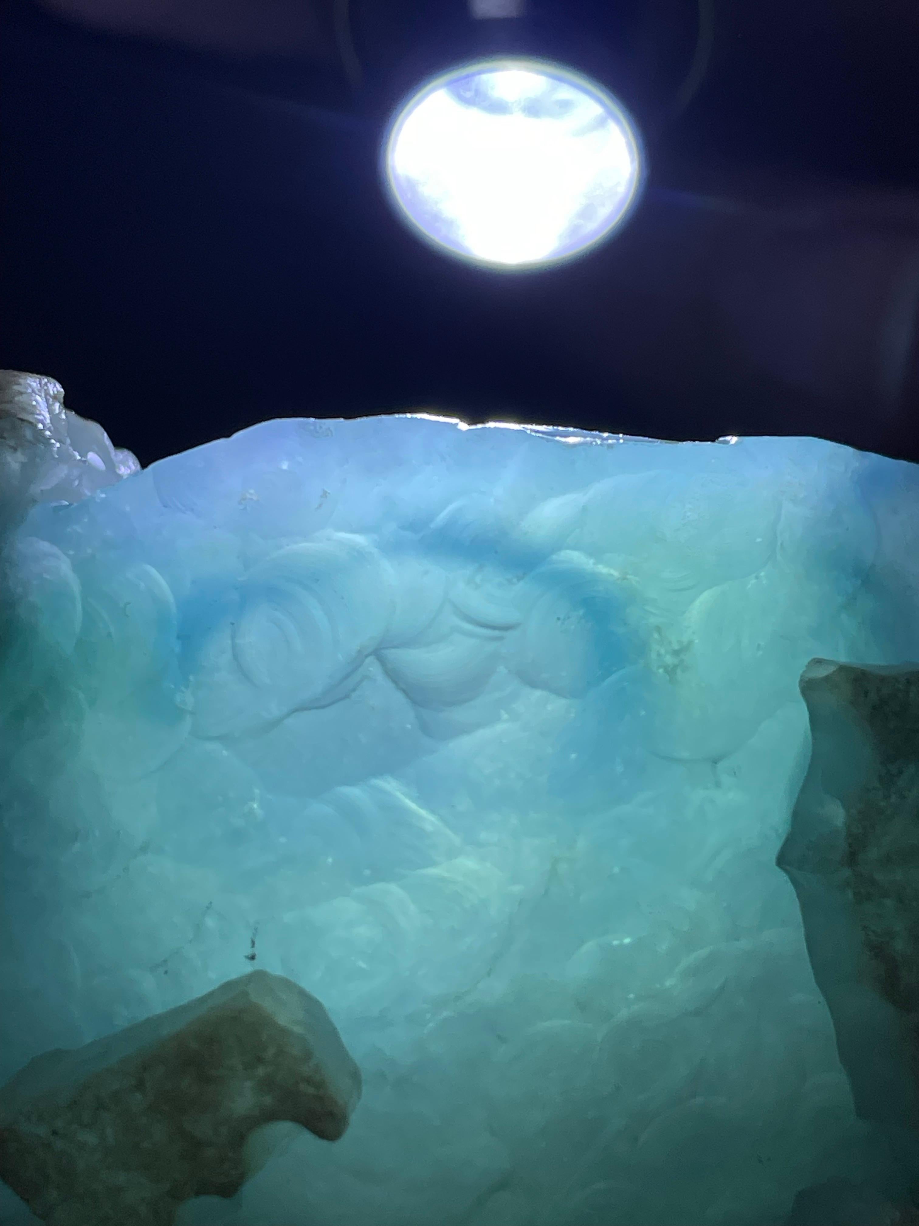 木那开窗冰飘蓝花（yc534675）
