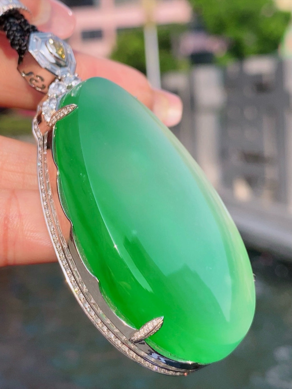 大水滴 种色兼备，厚装（wg0029013）