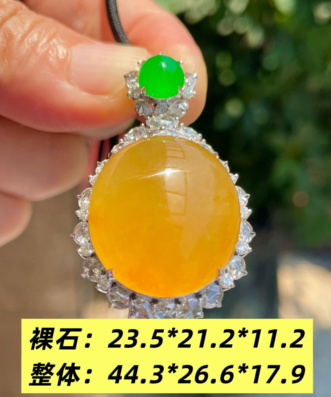 黄翡鸽子蛋 厚装圆润饱满 （wg0029580）