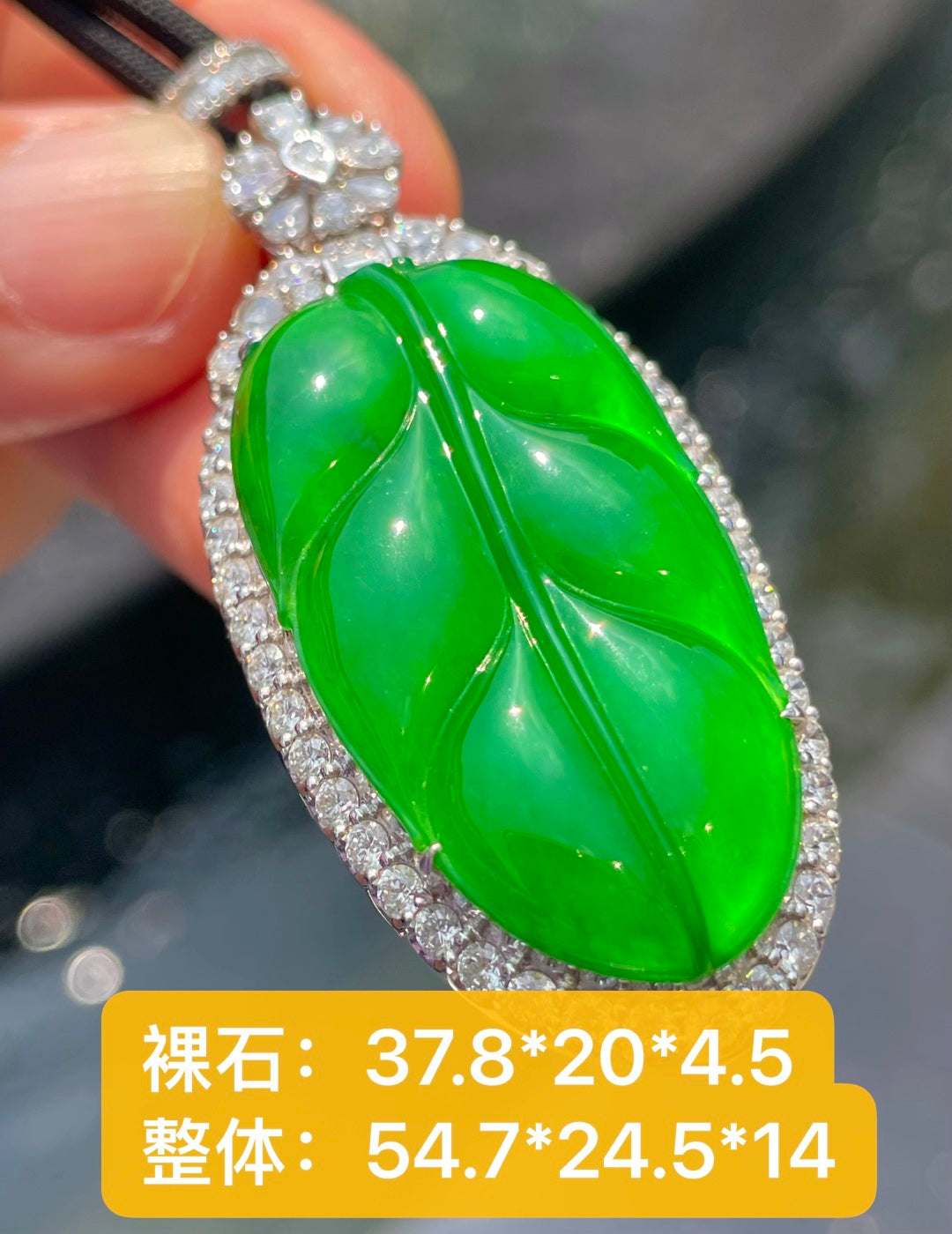 金枝玉叶 大业有成、（wg0032636）