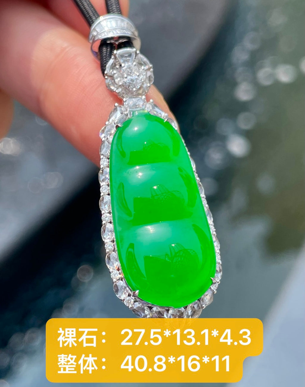 绿福豆 碧翠琢豆荚，吉兆藏其间（wg0032925）