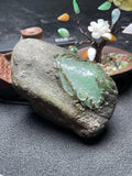莫西沙开窗冰底飘色（yc534221）