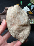 全赌木那脱沙牌子料（yc488964）
