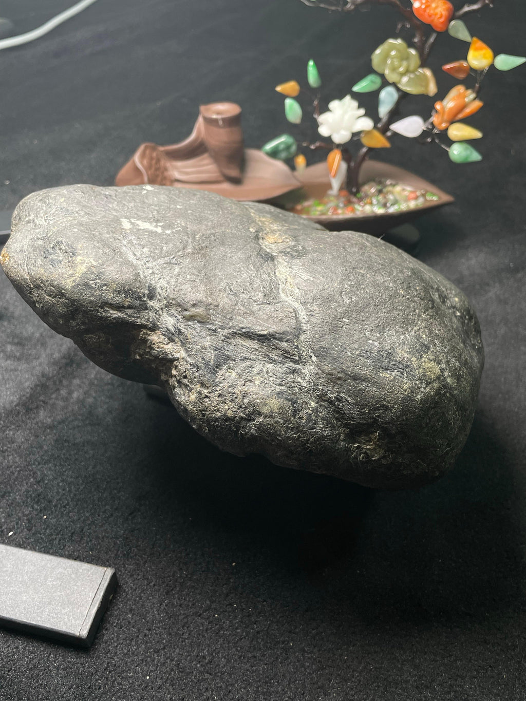 莫西沙开窗雪花棉飘色（yc496236）