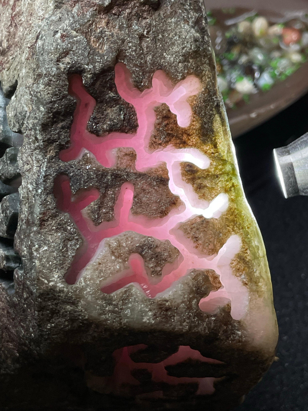 会卡开窗粉春料（yc538233）