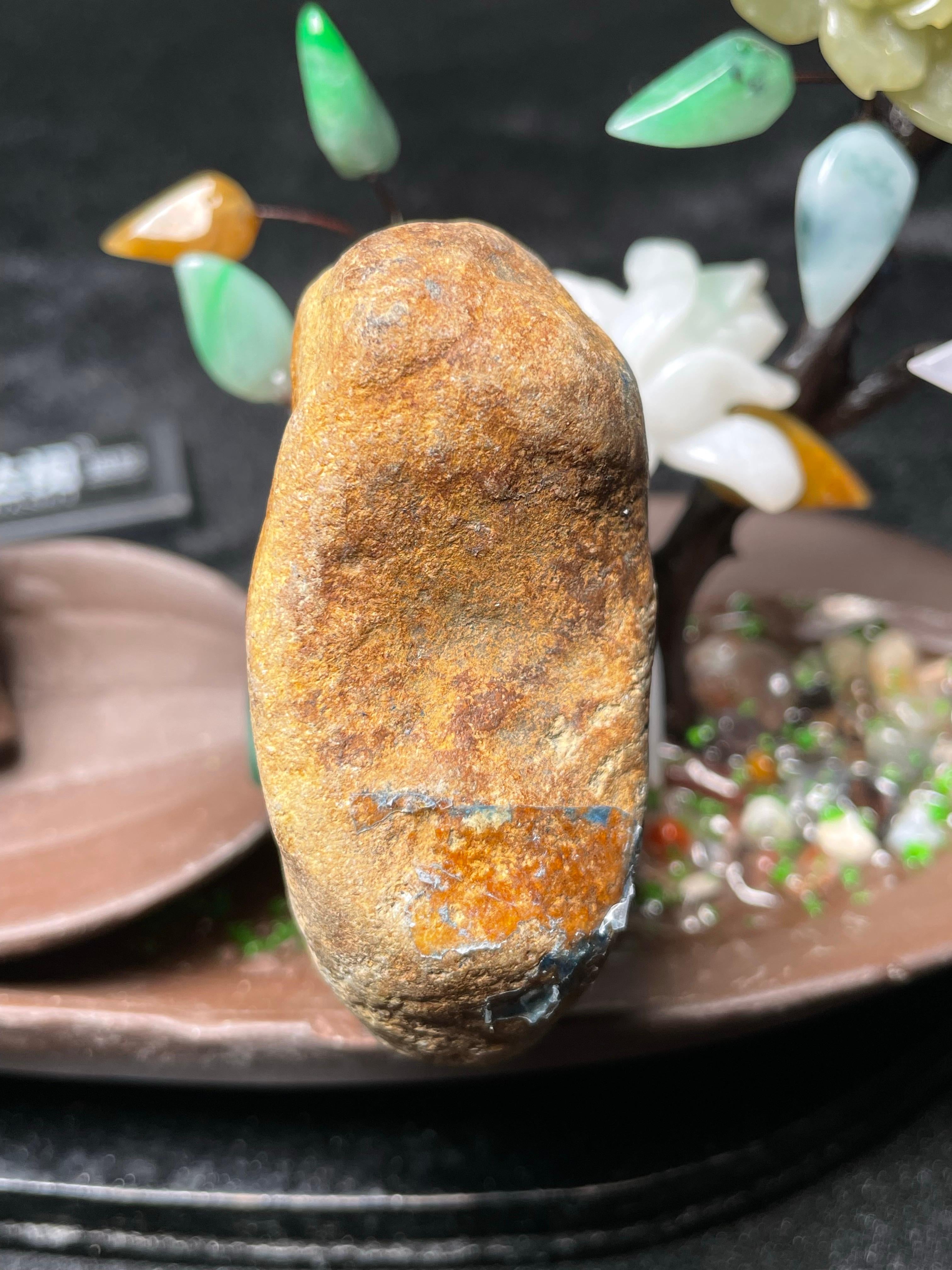 大马坎开窗红翡巧雕牌子料（yc532104）