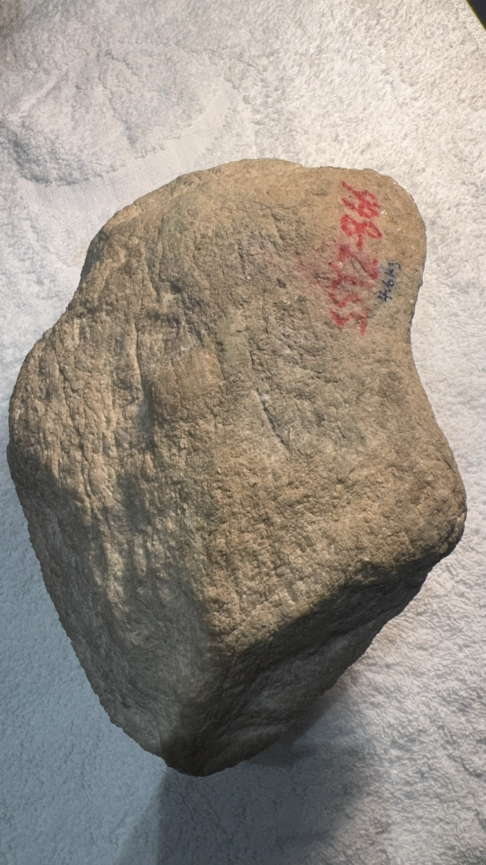 白皮脱沙料（yc054505）