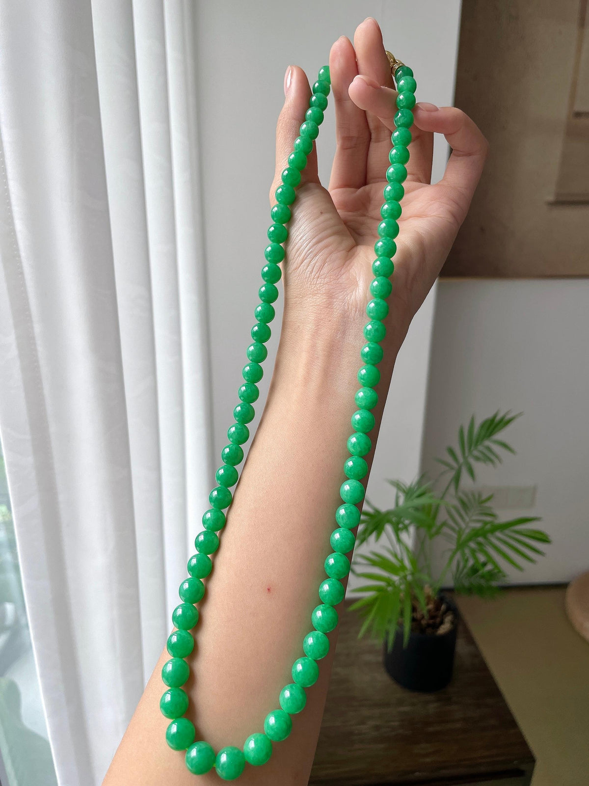 细糯种满绿珠串（yc718997）