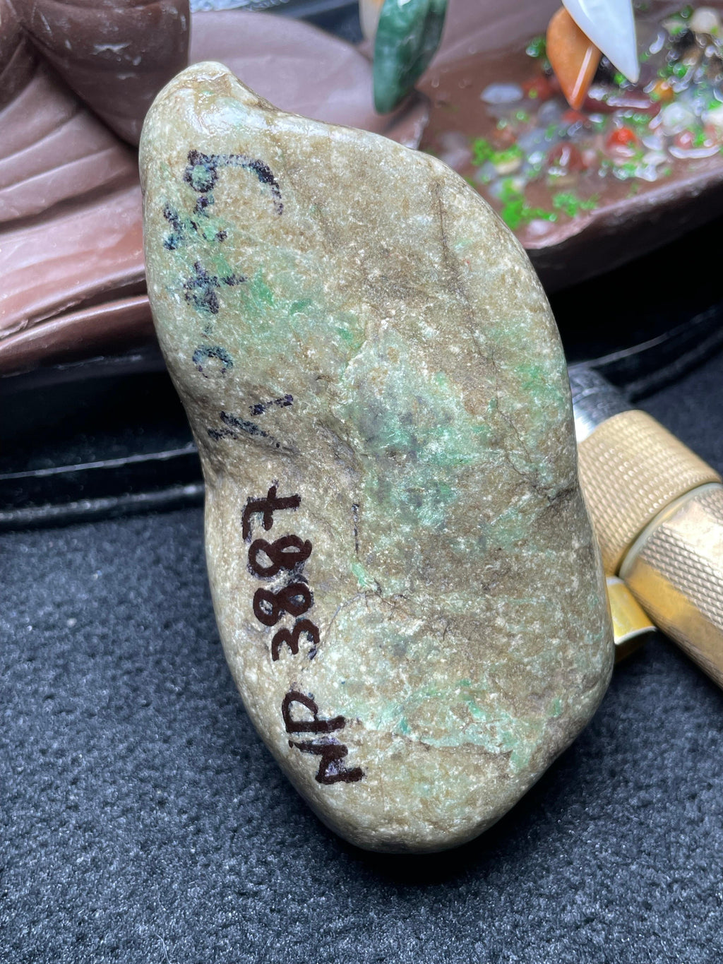后江全赌飘色花（yc696268）