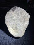 全赌莫西沙牌子挂件料（yc700925）