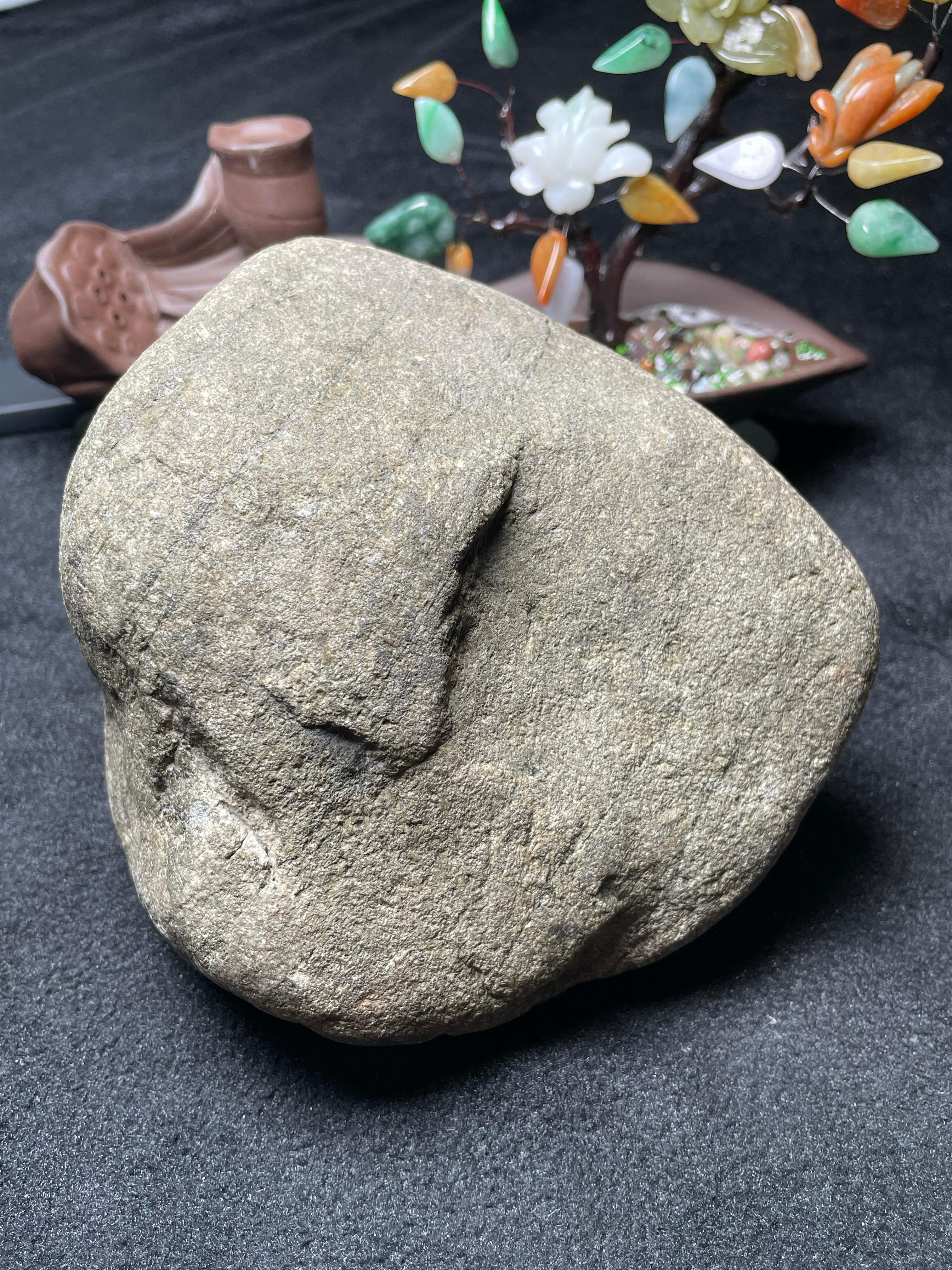 后江开窗果绿（yc501818）
