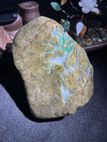 后江开窗白冰飘色（yc706301）