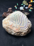 木那开窗春彩料（yc530915）