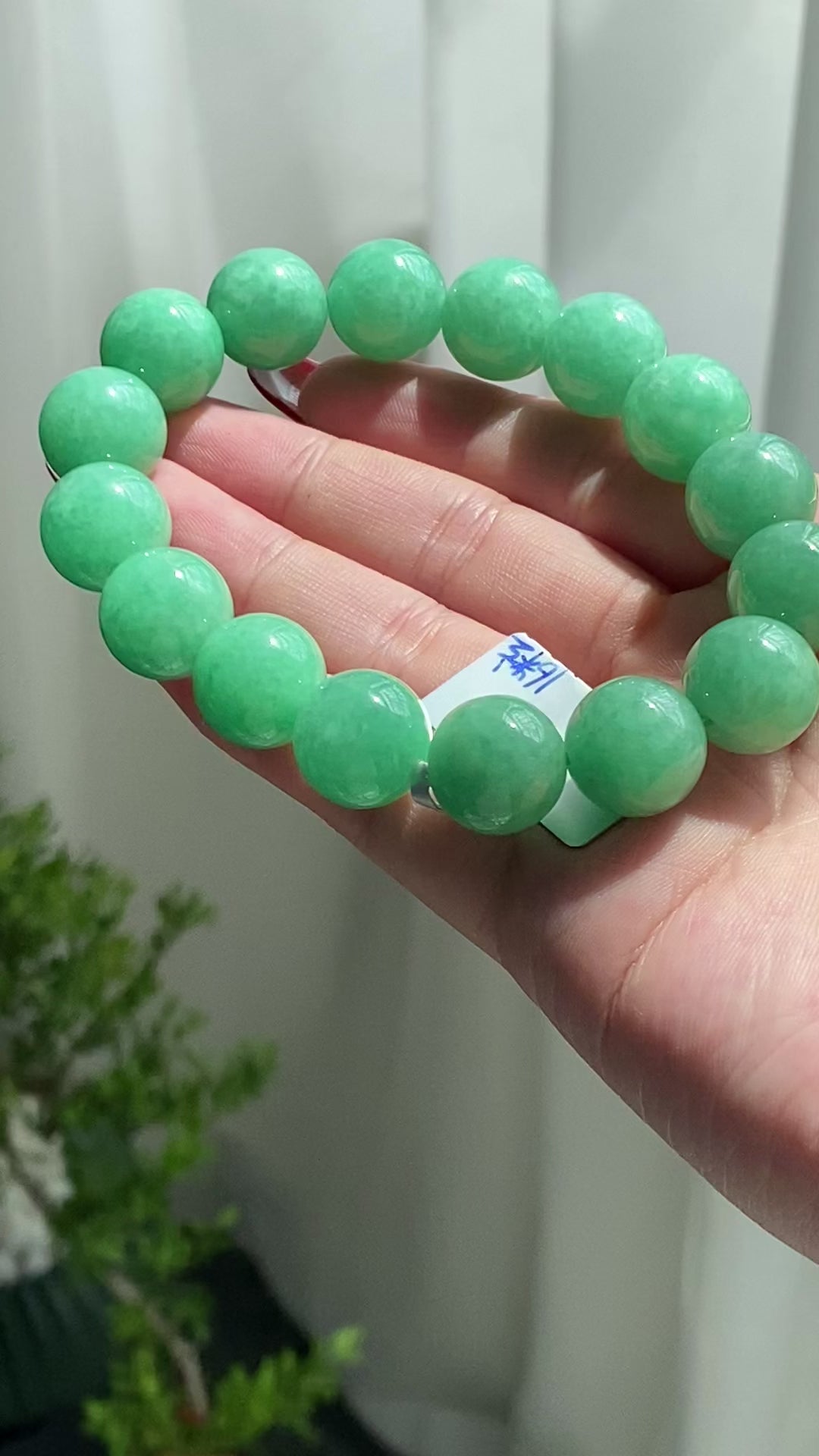 细糯种满绿单圈手串（16颗）（yc213539）